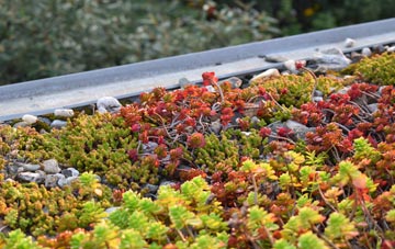 the cost of Four Oaks green roof installation